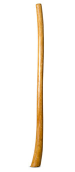 Gloss Finish Didgeridoo (TW1429)